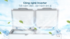 Tủ Đông Sanaky Inverter 270 Lít VH-3699A4K