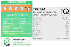 Tủ Lạnh Toshiba Inverter 233 Lít GR-RT303WE-PMV(52)
