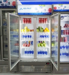 Tủ mát Hòa Phát Inverter 526 lít HSR D8526