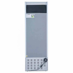 Tủ Mát Alaska LC-555H 300 Lít (1C)