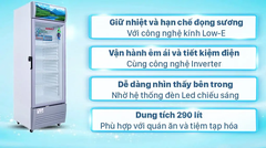 Tủ mát Sanaky Inverter 290 lít TM.VH-358K3L