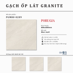 Gạch granite cao cấp Thạch Bàn PGM80-0289