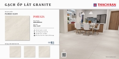 Gạch granite cao cấp Thạch Bàn PGM80-0289