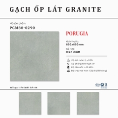 Gạch granite cao cấp Thạch Bàn PGM80-0290