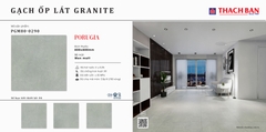Gạch granite cao cấp Thạch Bàn PGM80-0290