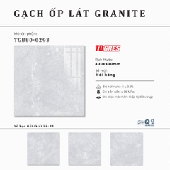 Gạch granite 800x800 Thạch Bàn TGB80-0293