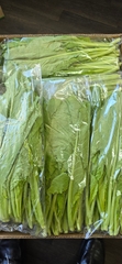 Cải cay