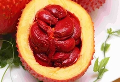 Gấc đông lạnh
