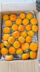 Quả Hồng (kg) カキ