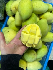 Xoài ương