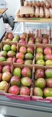 xoài cosco