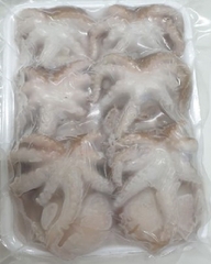 bạch tuộc