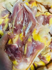 Đùi gà dai rút xương 骨抜き親鳥モモ肉