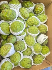 Quả Na
