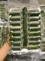 Ốc ống nứa