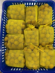 nhãn đông lạnh