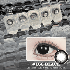 [1-DAY] 166 BLACK - Size to