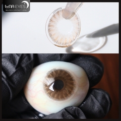 271 BROWN - size vừa