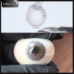 (THƯỜNG) 271 GRAY - size vừa