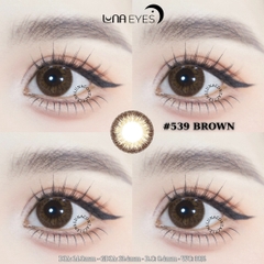 (XẢ) 539 BROWN - size nhỏ