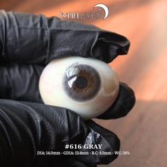 (THƯỜNG) 616 GRAY - size nhỏ