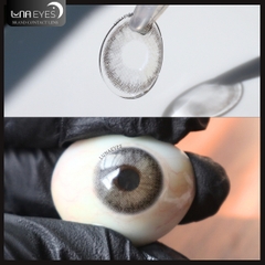 (THƯỜNG) 619 GRAY - size nhỏ