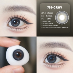 PP 753 GRAY 08/29