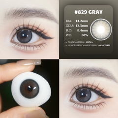 (HOT) 829 GRAY - size vừa