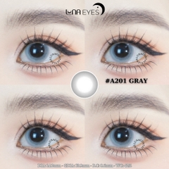 (THƯỜNG) A201 GRAY - size vừa