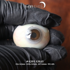 (THƯỜNG) A201 GRAY - size vừa