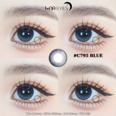 (THƯỜNG) C795 BLUE - size vừa