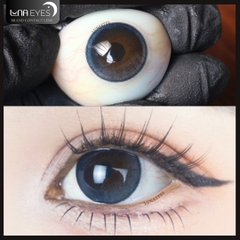 (THƯỜNG) C795 BLUE - size vừa