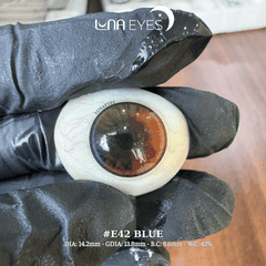 E42 BLUE - size vừa