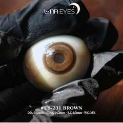 FB-231 BROWN - size to