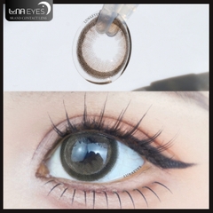 FB-231 BROWN - size to