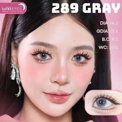 FB-289 GRAY - size vừa