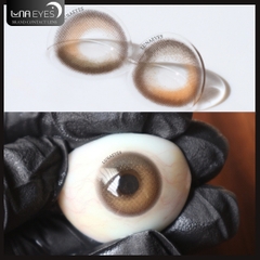 (XẢ) FC-313 BROWN - size vừa