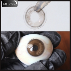 (XẢ) FC-314 BROWN - size vừa