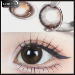 (THƯỜNG) FC-390 BROWN - size vừa