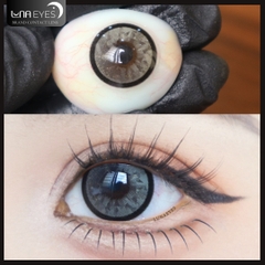 (HOT) FD-439 GRAY -size vừa