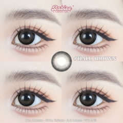 (THƯỜNG) HALO BROWN - size to