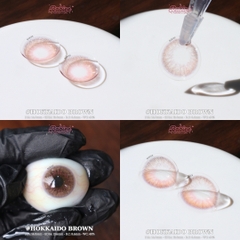 HOKKAIDO BROWN - size to