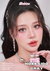 HOKKAIDO GRAY - size to