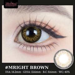 (XẢ/BABIEE) MRIGHT BROWN - size vừa