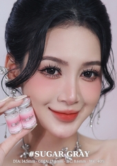 SUGAR GRAY - size vừa