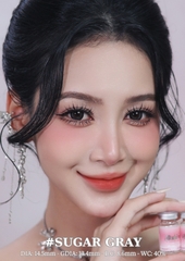SUGAR GRAY - size vừa