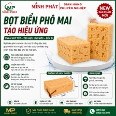Miếng Mút Bọt Biển Phô Mai Minh Phát Tạo Hiệu Ứng Sơn Tường Trang Trí