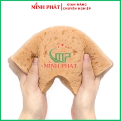 Miếng Mút Bọt Biển Phô Mai Minh Phát Tạo Hiệu Ứng Sơn Tường 21cm Minh Phát