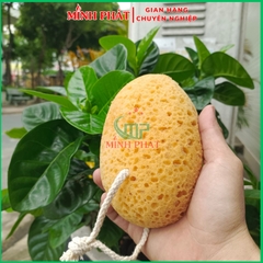 Miếng Tạo Vân Màu Cà Phê 15,5cm Minh Phát Bọt Biển Sơn Hiệu Ứng