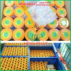 Màng Keo Nilon Che Chắn Bụi Bẩn Vật Dụng Khi Phun Sơn Tường Minh Phát